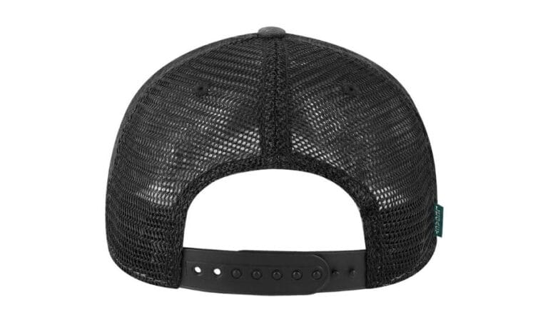back view
