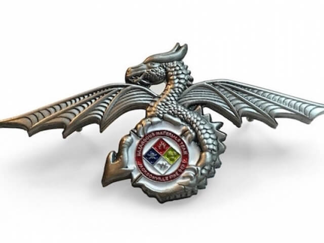 custom dragon pin