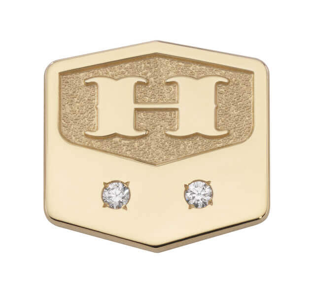 diamond lapel pin