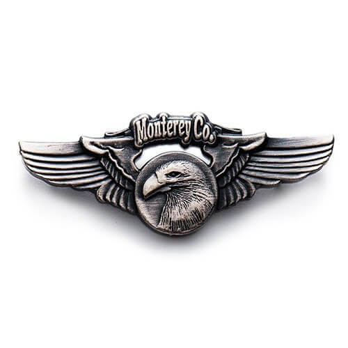 silver magnetic pin